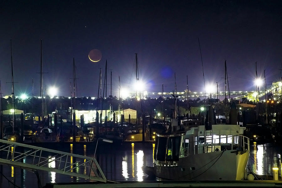 Boat Photograph - Harbour lights by Renee Thurgood