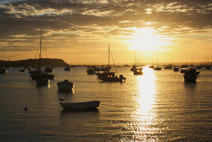 Harbour Sunset Photograph by Michael Gibbs