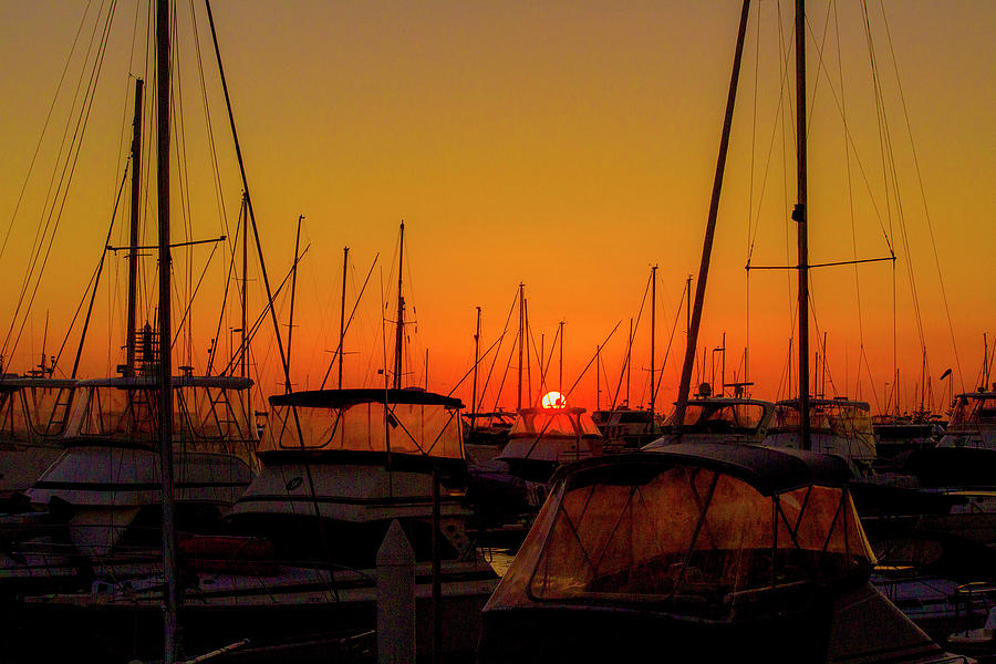 Harbour Sunset Photograph by Tania Read