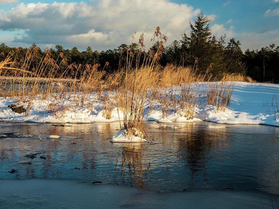 Hard frosts and icy drafts Photograph by Louis Dallara