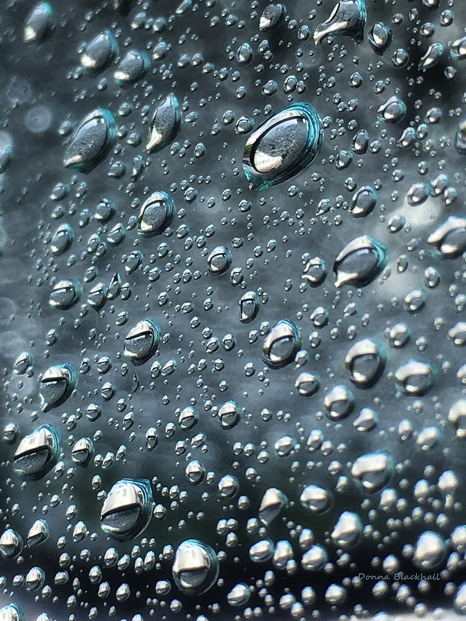 Rain Photograph - Hard Rain by Donna Blackhall