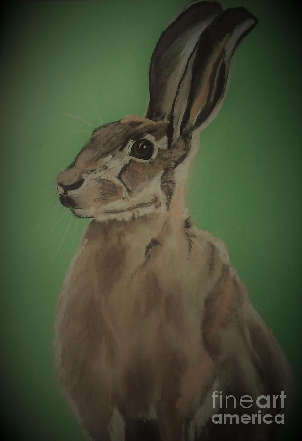Hare  Pastel by Angela Cartner