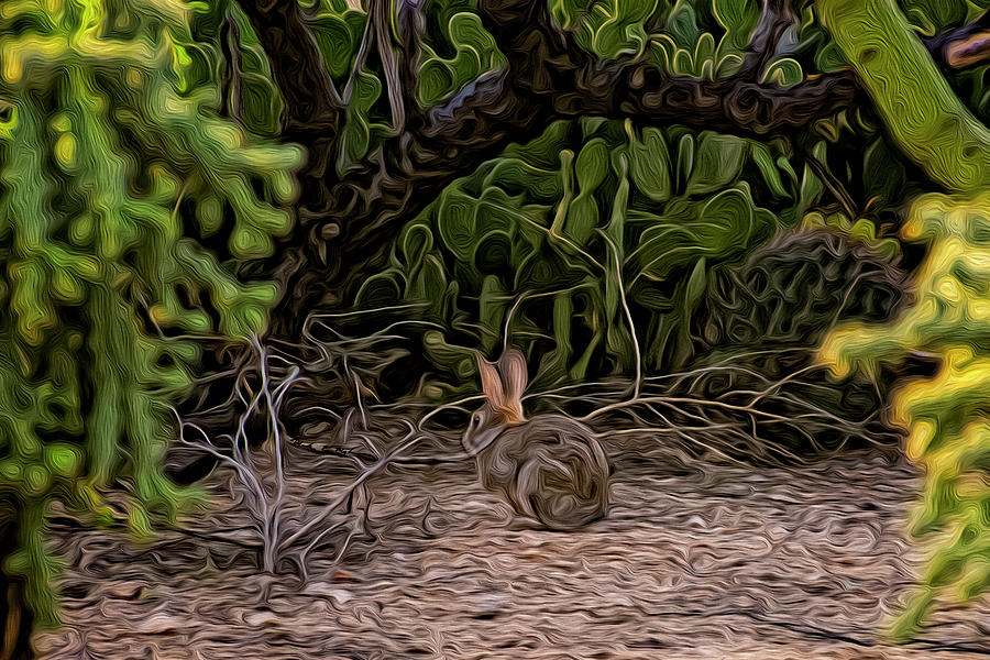 Nature Photograph - Hare Habitat op23 by Mark Myhaver