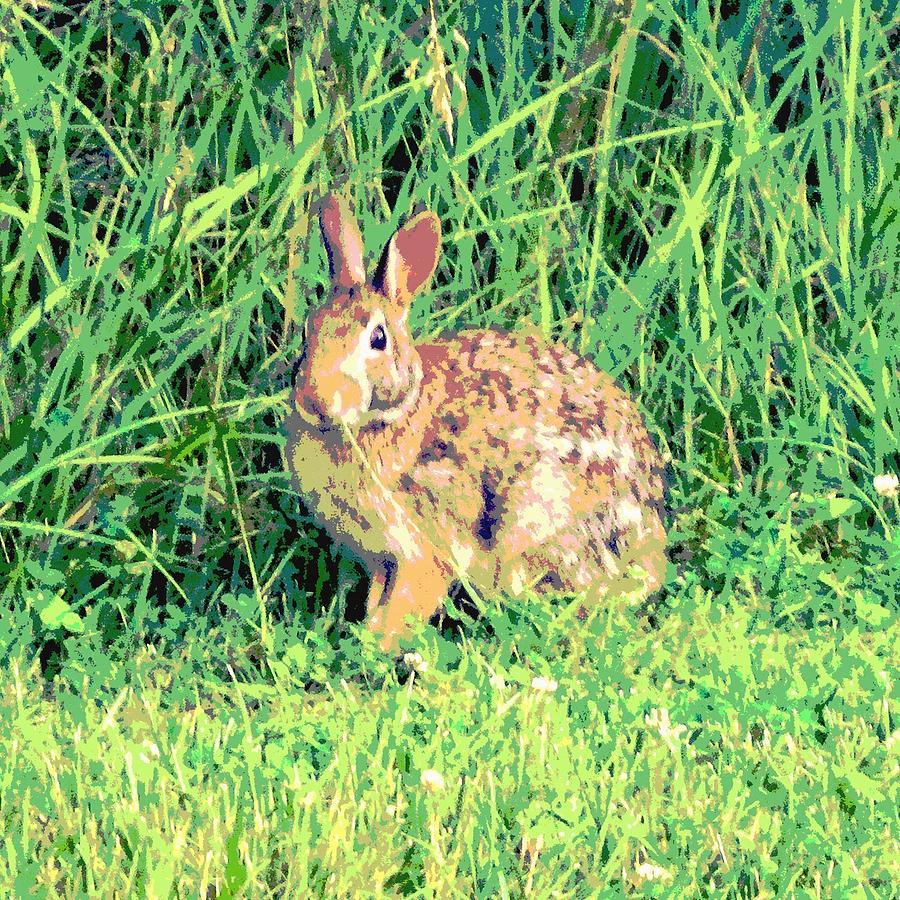 Hare in Grass Digital Art by Jennifer Frechette