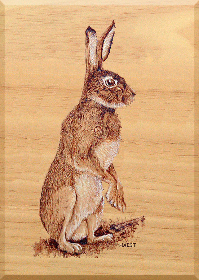 Hare Pyrography by Ron Haist