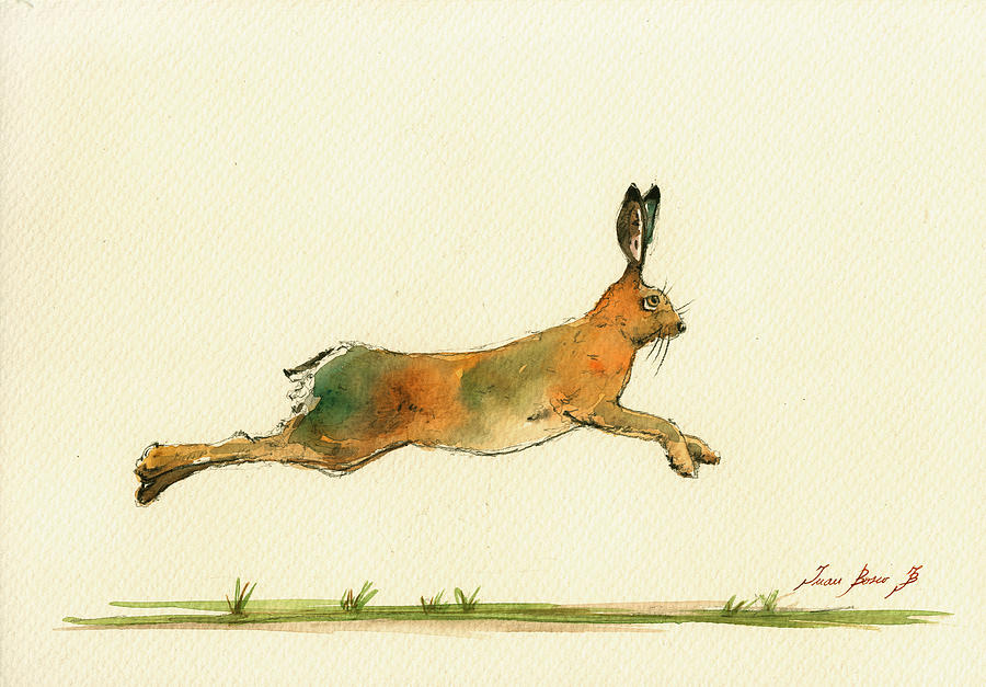 Animal Painting - Hare running watercolor painting by Juan  Bosco