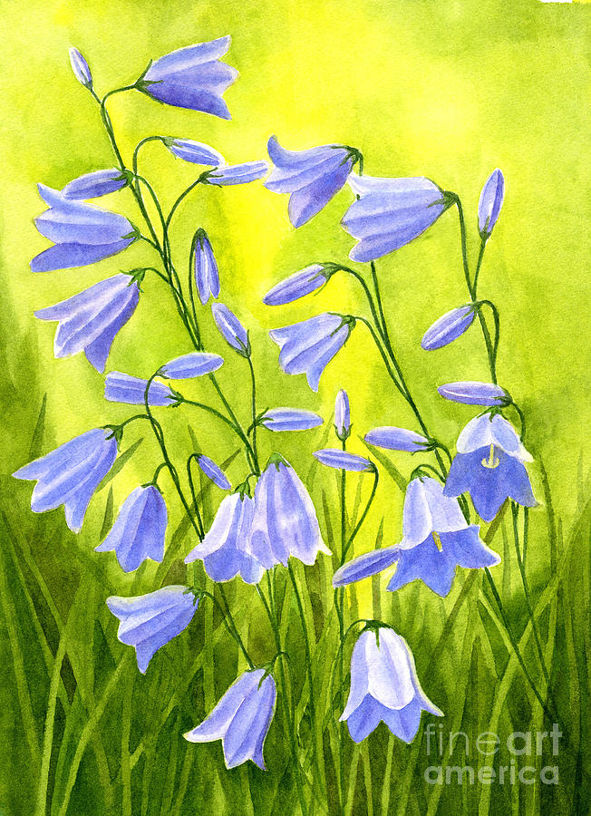 Harebells with Yellow and Green Background Painting by Sharon Freeman