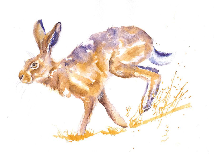 Spring Painting - Hare - Harebrained by Debra Hall