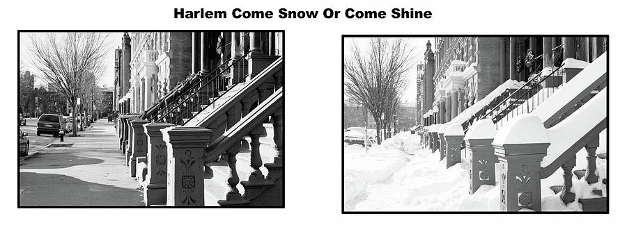 Harlem Summer Winter Photograph by William Kimble