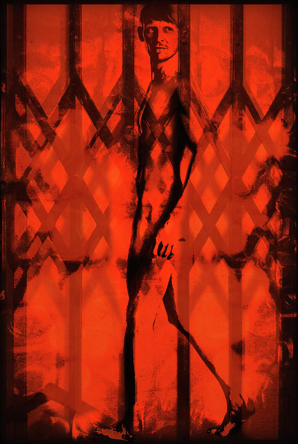 Harlequin - 2/10 by John Waiblinger Harlequin - 2/10 by John Waiblinger