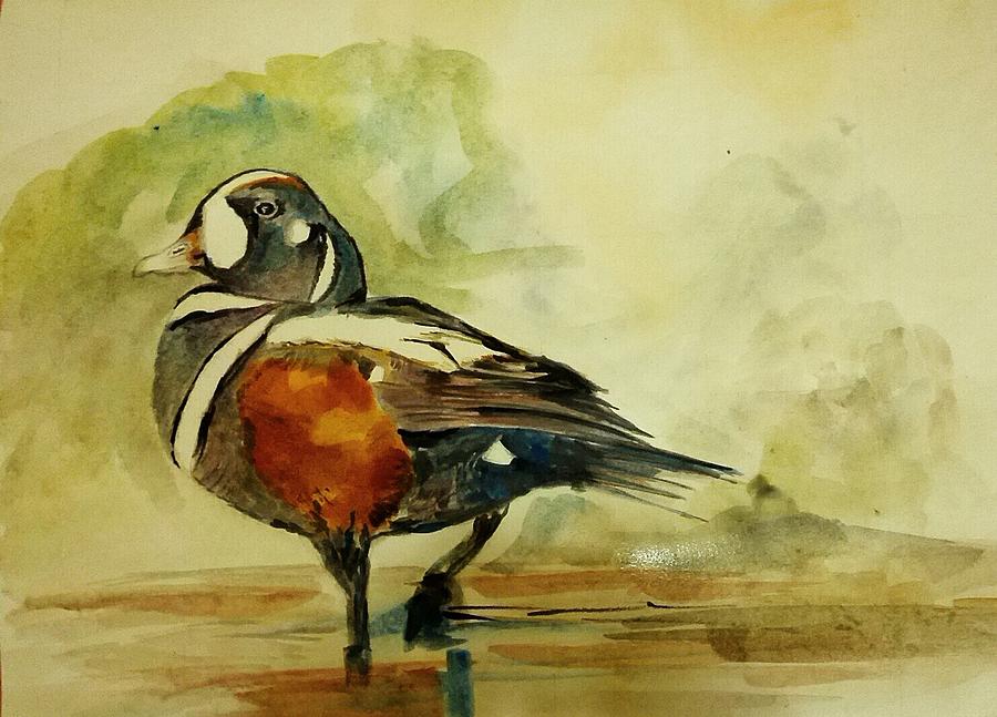 Harlequin duck. Painting by Khalid Saeed