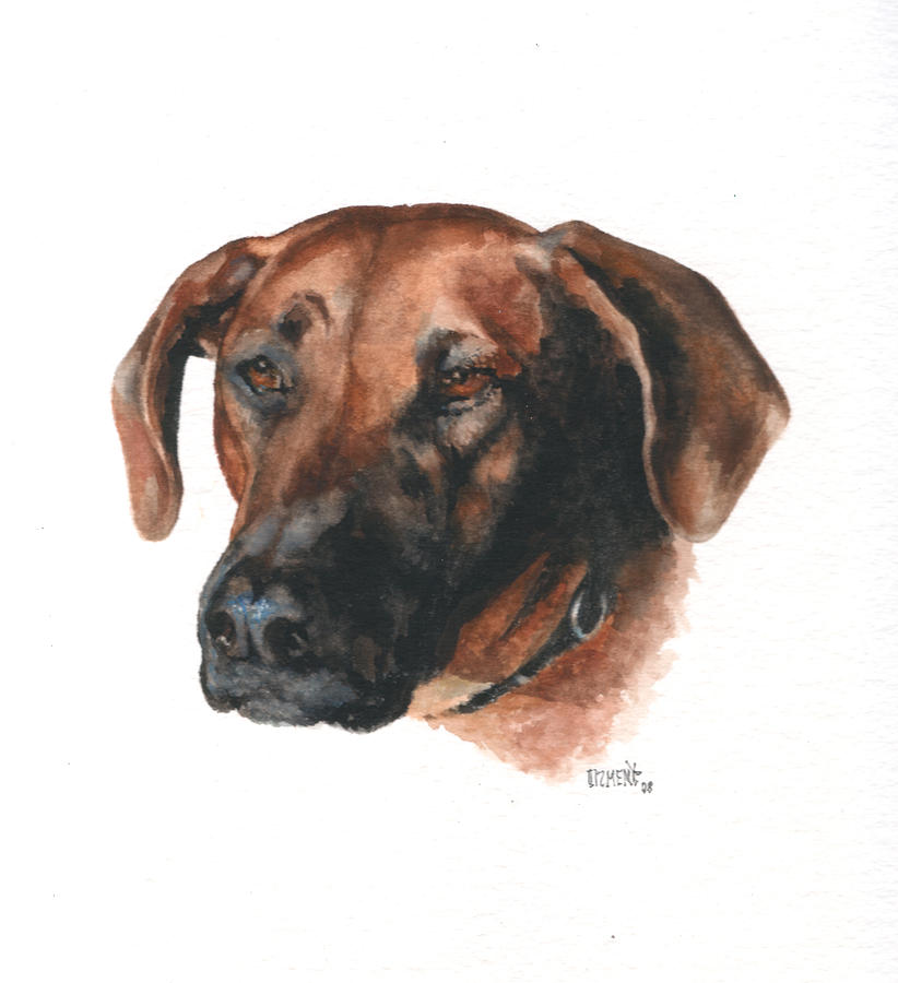 Rhodesian Ridgeback Dog Painting - Harley Brown Sugar Dog by Joan Ozment