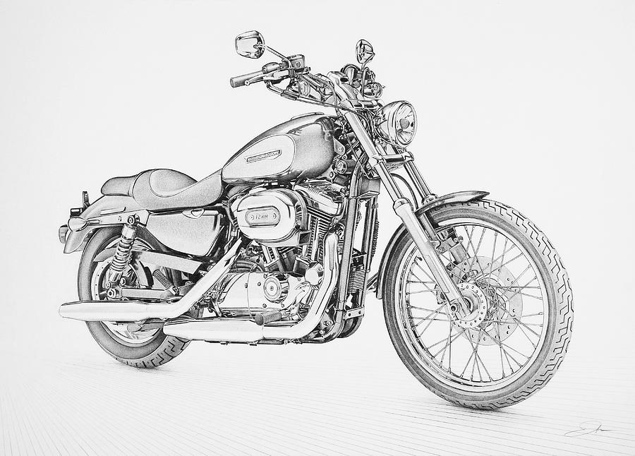 Harley Davidson 1200 Custom Drawing By Regan Peters