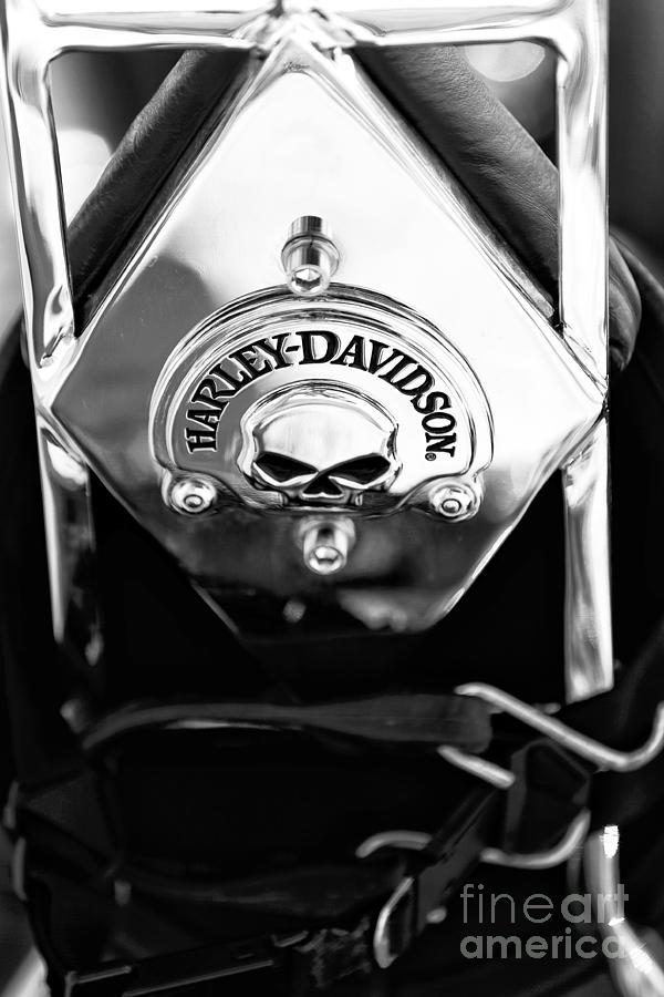 Harley Davidson Chrome in Wildwood Photograph by John Rizzuto