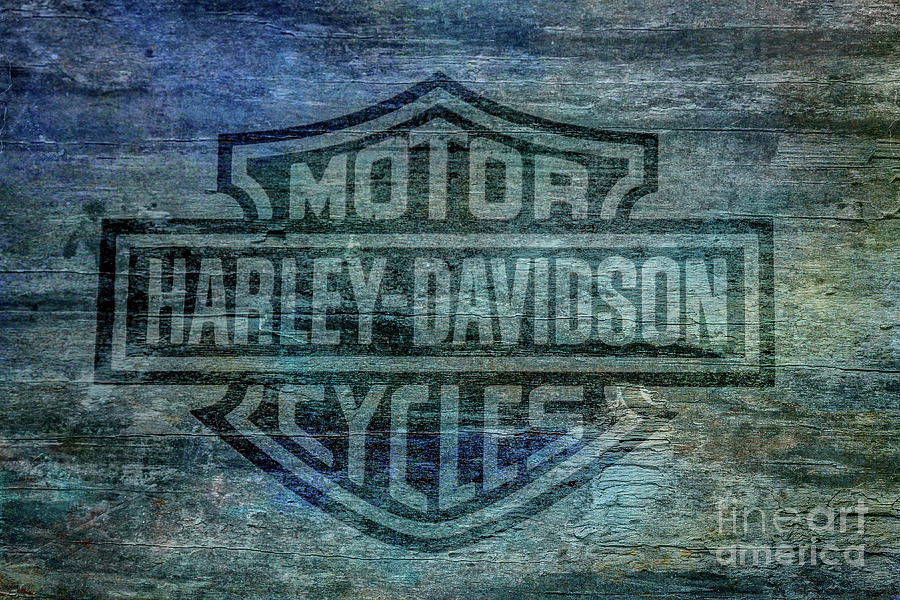 Harley Davidson Logo Weathered Wood Digital Art by Randy Steele