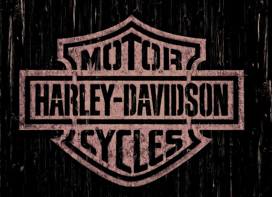 Harley Davidson Motorcycles 4 Photograph by Jean Francois Gil