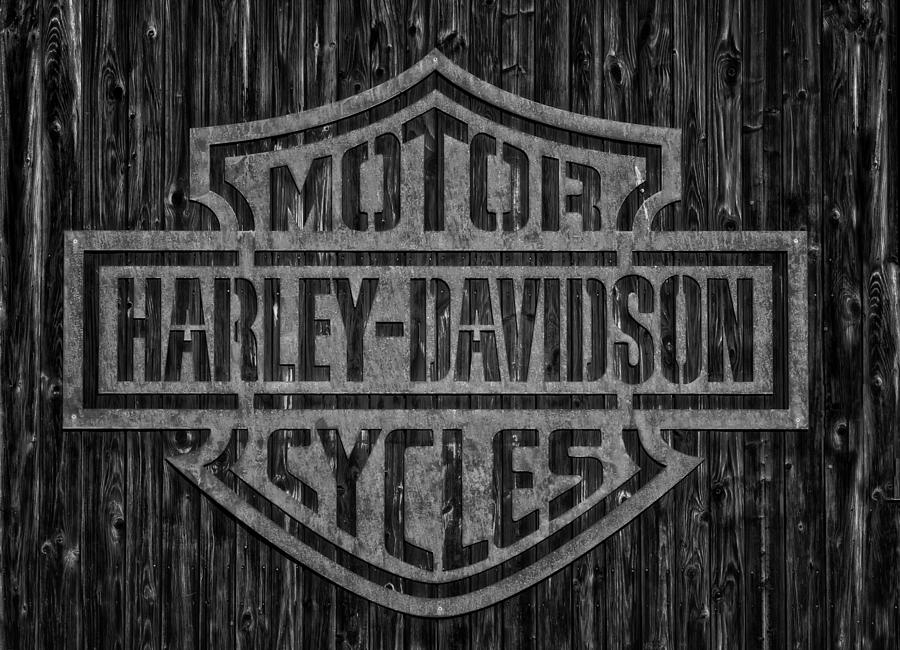 Harley Davidson Motorcycles 8 Photograph by Jean Francois Gil