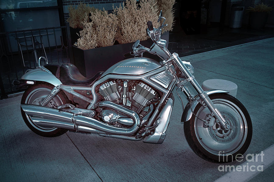 Harley-Davidson Photograph by Norman Gabitzsch