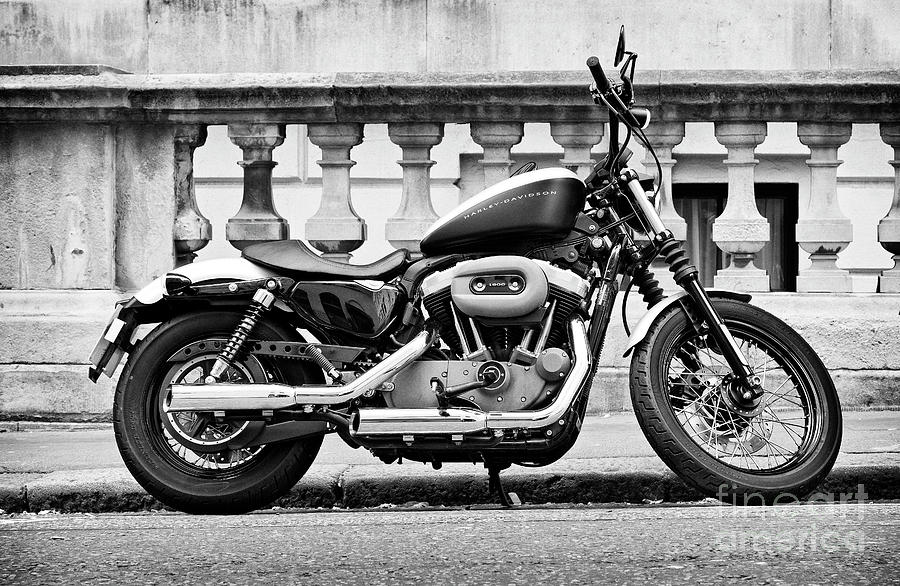 Harley Davidson V-Twin Photograph by David Bleeker