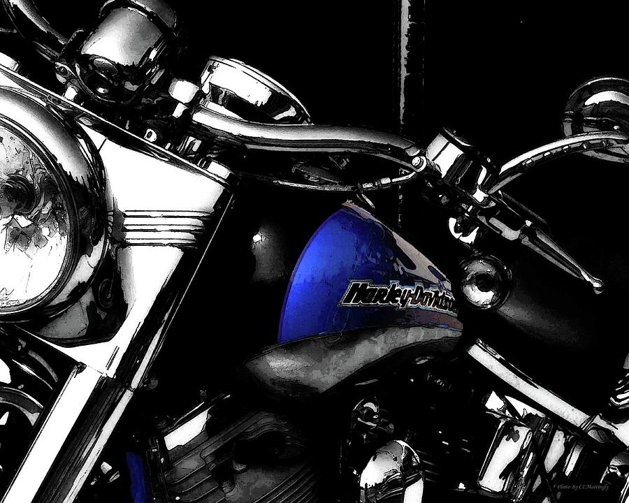 Harley in Blue Photograph by Coke Mattingly