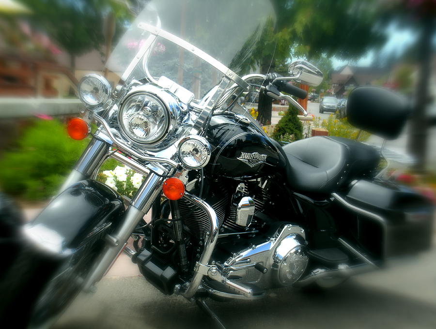 Harley D Photograph