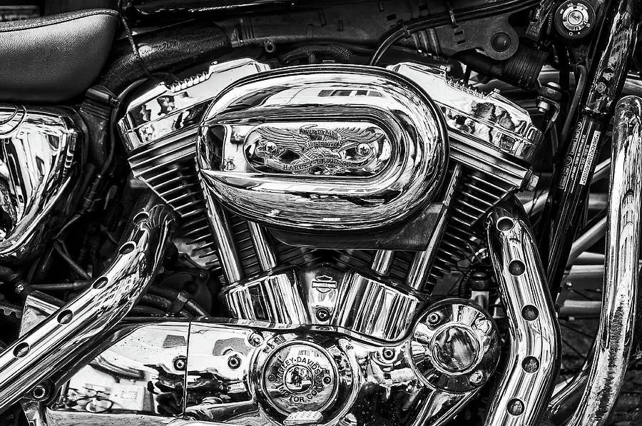 Harley motorcycle Photograph by Xavier Cardell