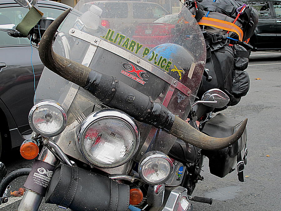 Harley One Bull O Photograph by John King I I I
