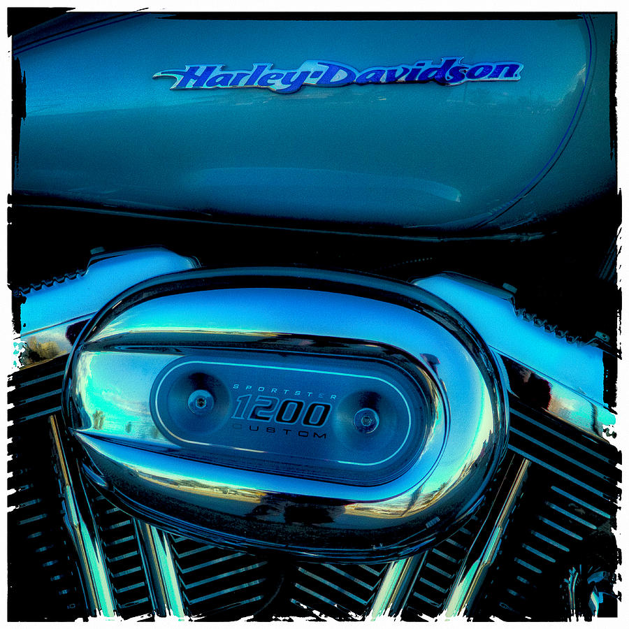 Transportation Photograph - Harley Sportster 1200 by David Patterson