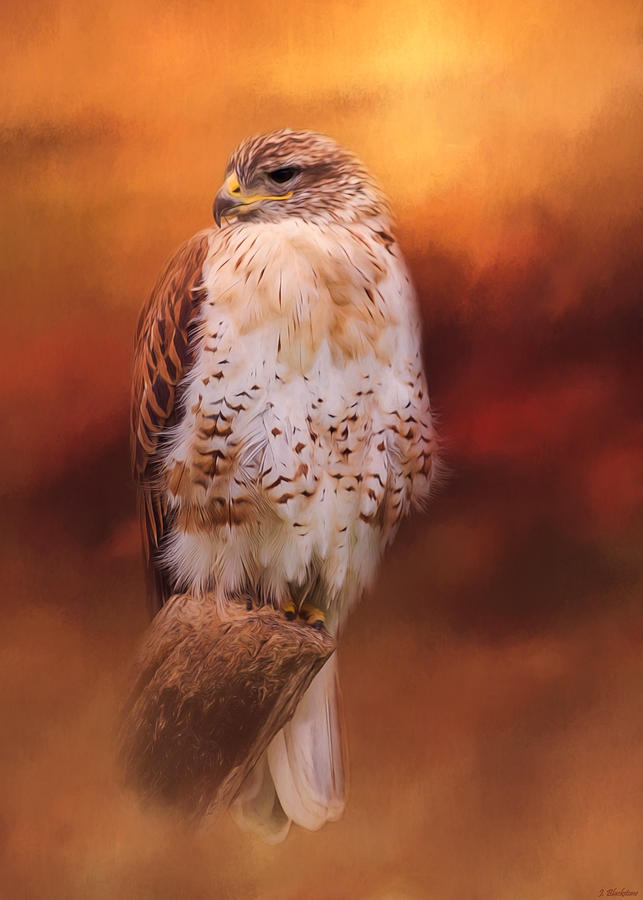 Wildlife Painting - Harmony In Autumn - Bird Of Prey Art by Jordan Blackstone