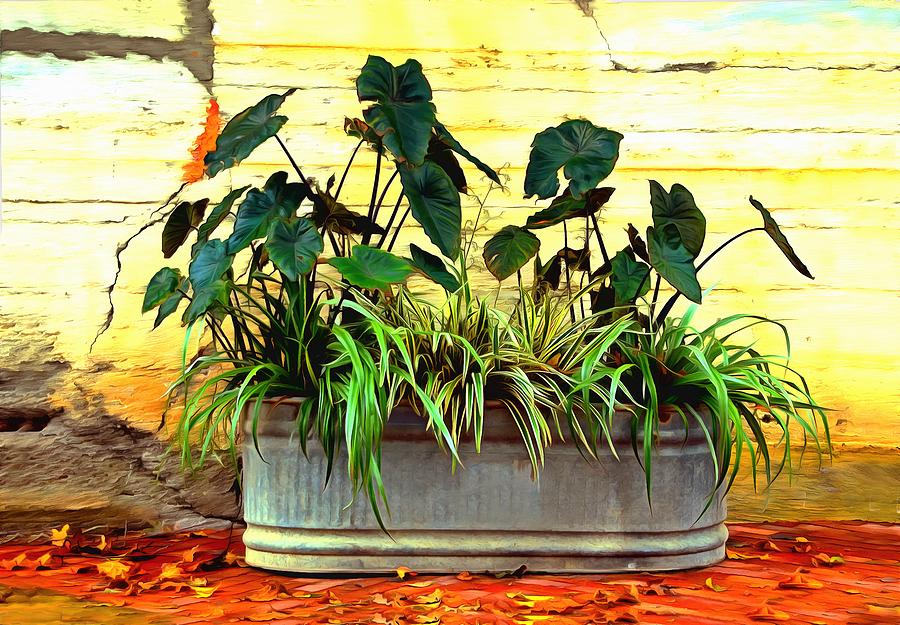 Harmony Water Trough Digital Painting Photograph by Barbara Snyder