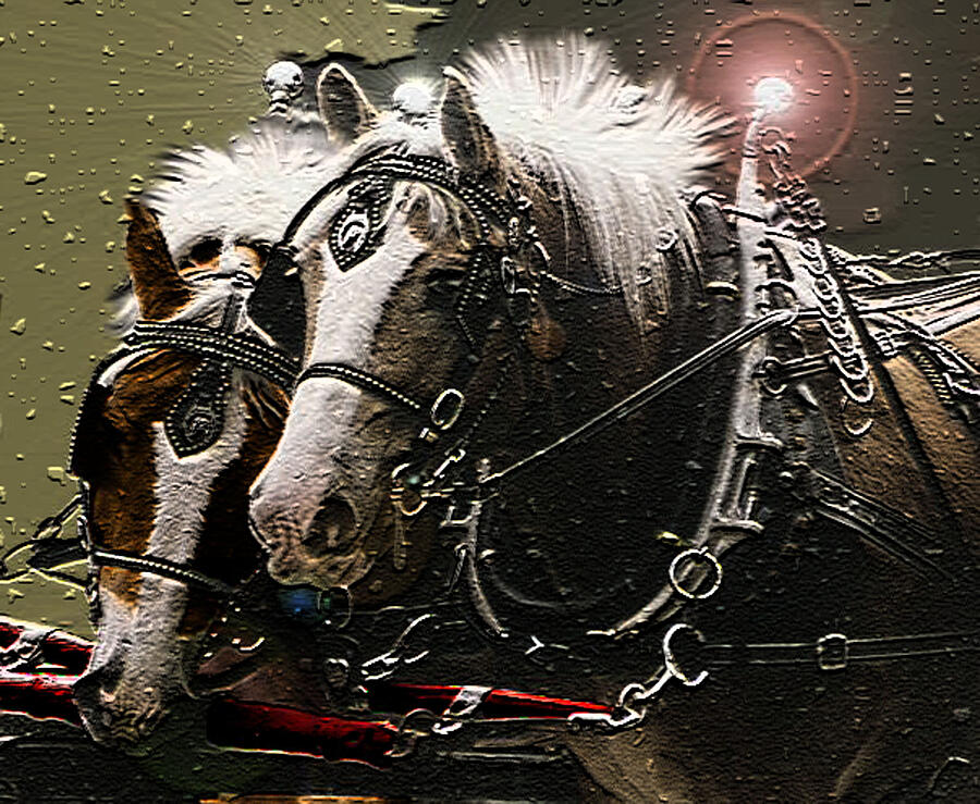 Horse Digital Art - Harness Horses In Winter by Joyce Wasser