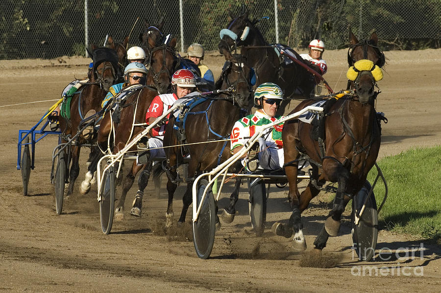 Horse Photograph - Harness Racing 9 by Bob Christopher