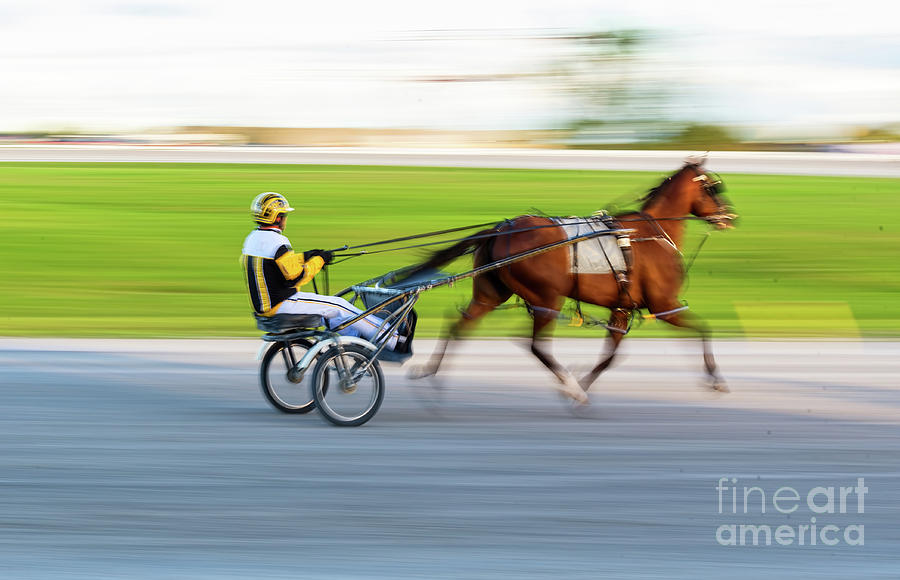 Harness Racing Photograph by Les Palenik