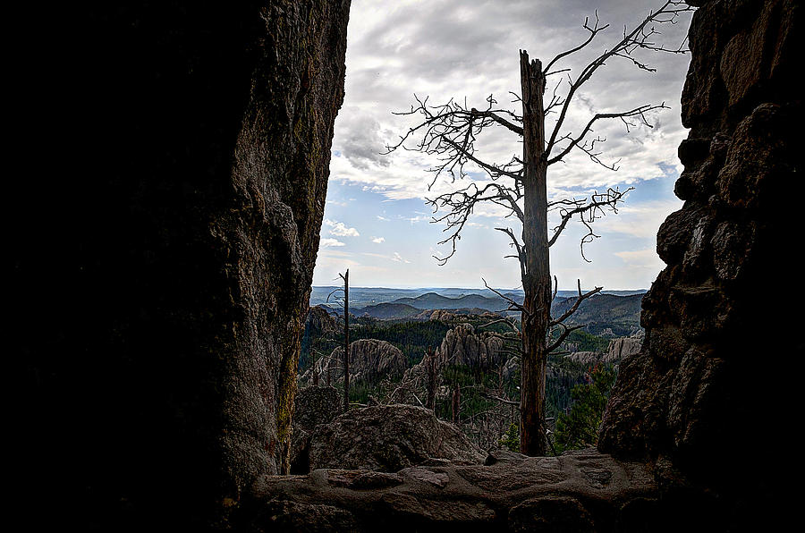 Harney Peak Lookout Photograph by Deborah Klubertanz