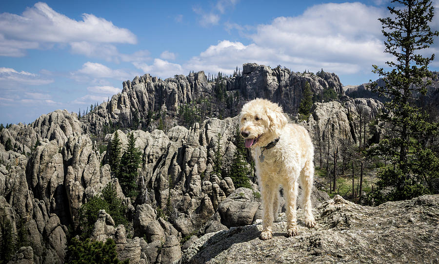 Harney Peak Trail from Sylvan Lake Photograph by Cary Leppert - Pixels