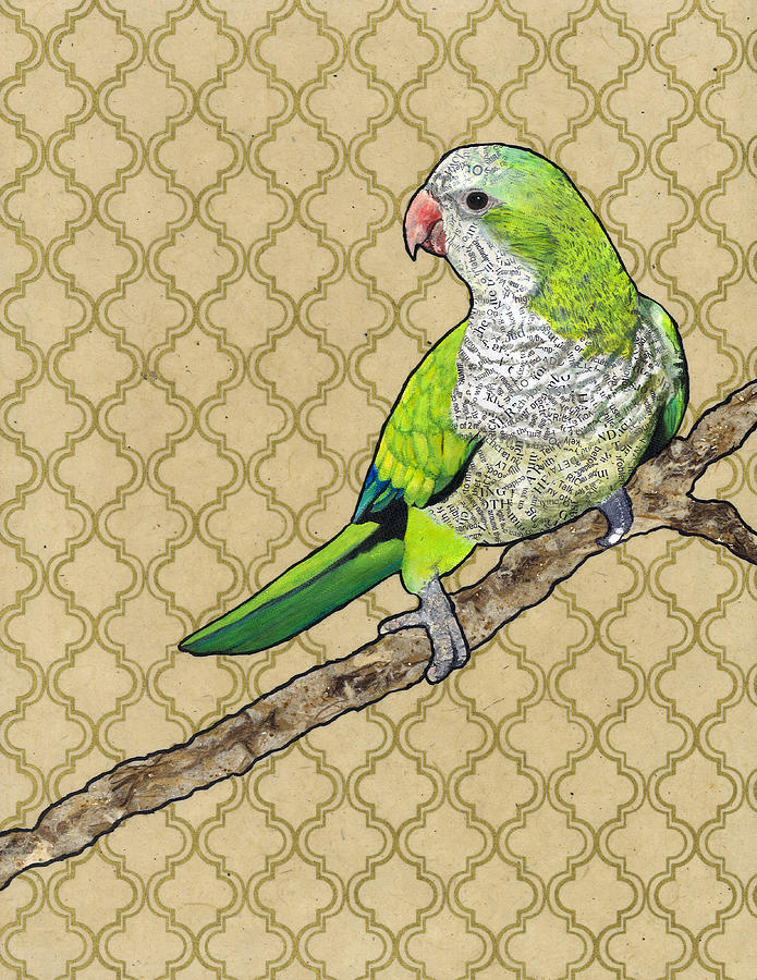 Parrot Painting - Harold by Jacqueline Bevan