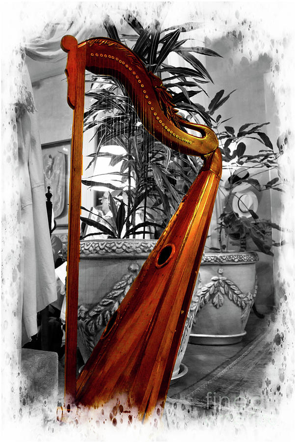 Harp At Mansion Alcazar, Cuenca, Ecuador Photograph by Al Bourassa