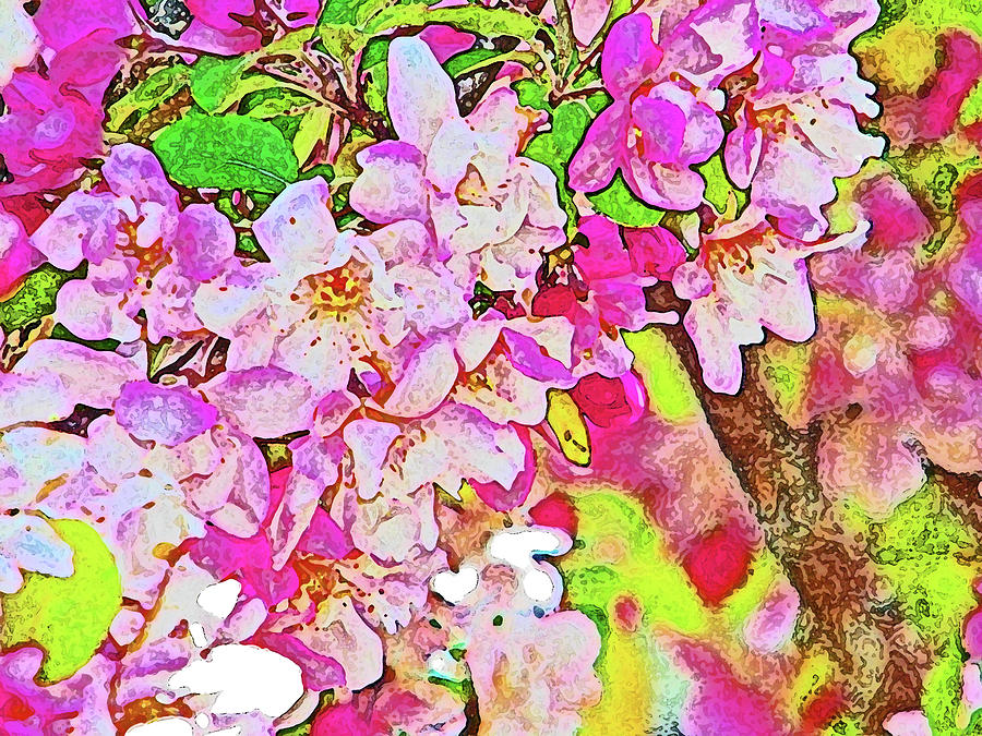 HARP Blossoms Photograph by Lenore Senior