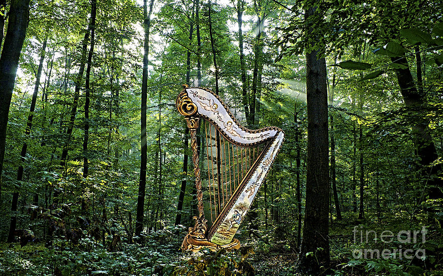 Harp In The Woods Mixed Media by Marvin Blaine