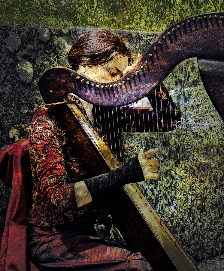 Harp Player  #1 Photograph by Claude LeTien