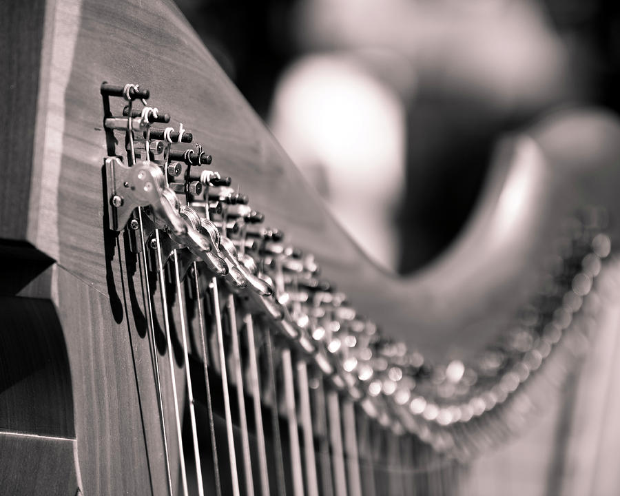 Harp strings Photograph by Valerie Cason