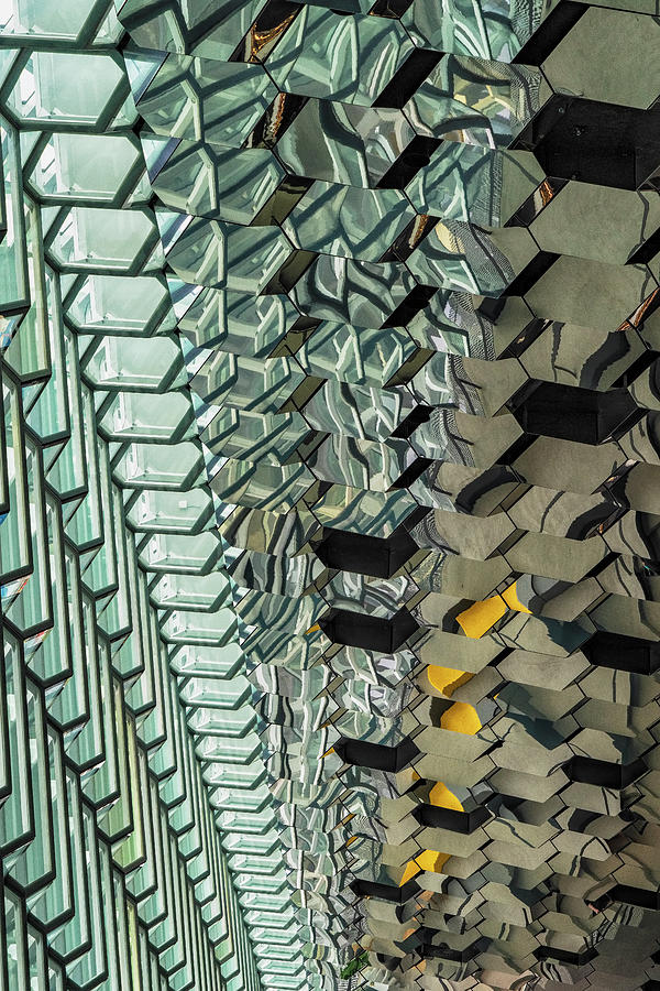 Harpa Abstract Photograph by Tom Singleton