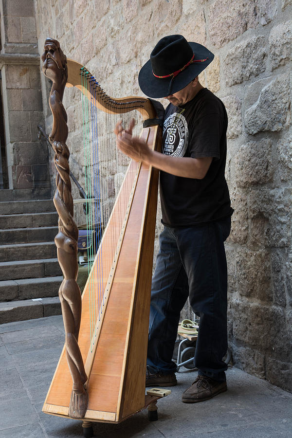 Harpist street musician, Barcelona, Spain Photograph by Nicole Freedman