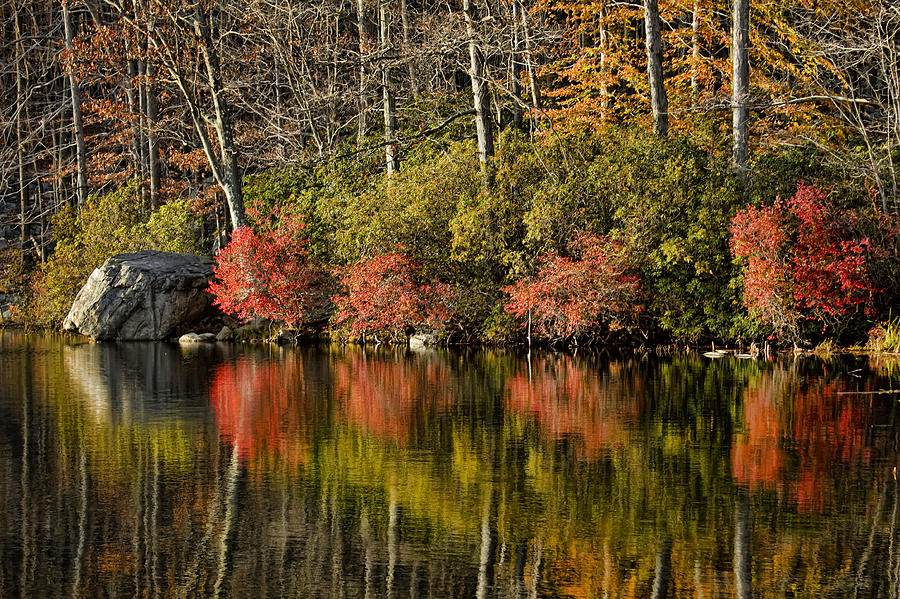 Fall Photograph - Harriman Autumn Reflections I by Alexander Mendoza