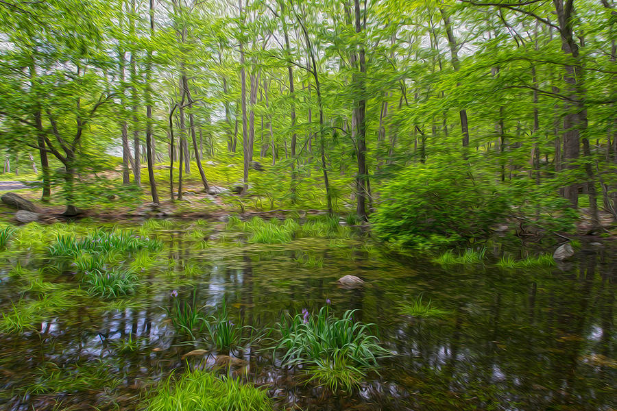 Claude Monet Photograph - Harriman State Park in Abstract by Angelo Marcialis