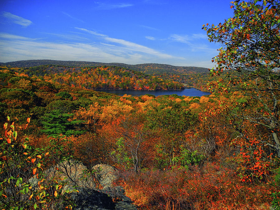 Harriman State Park in Autumn Photograph by Raymond Salani III