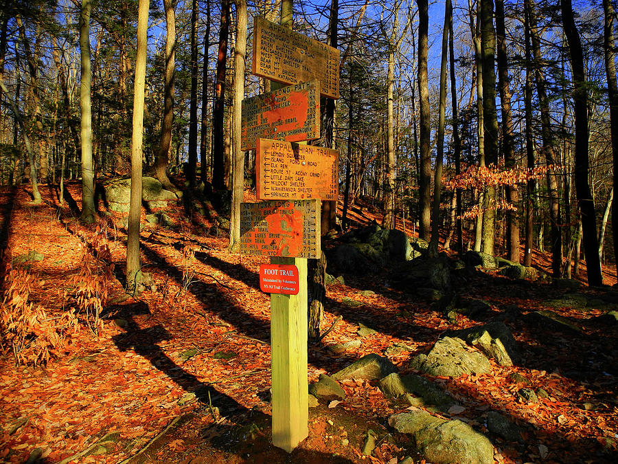 Harriman State Park Trail Sign Photograph by Raymond Salani III