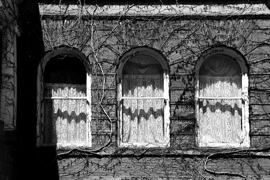 Harrington Inn Windows BW Photograph by Mary Bedy