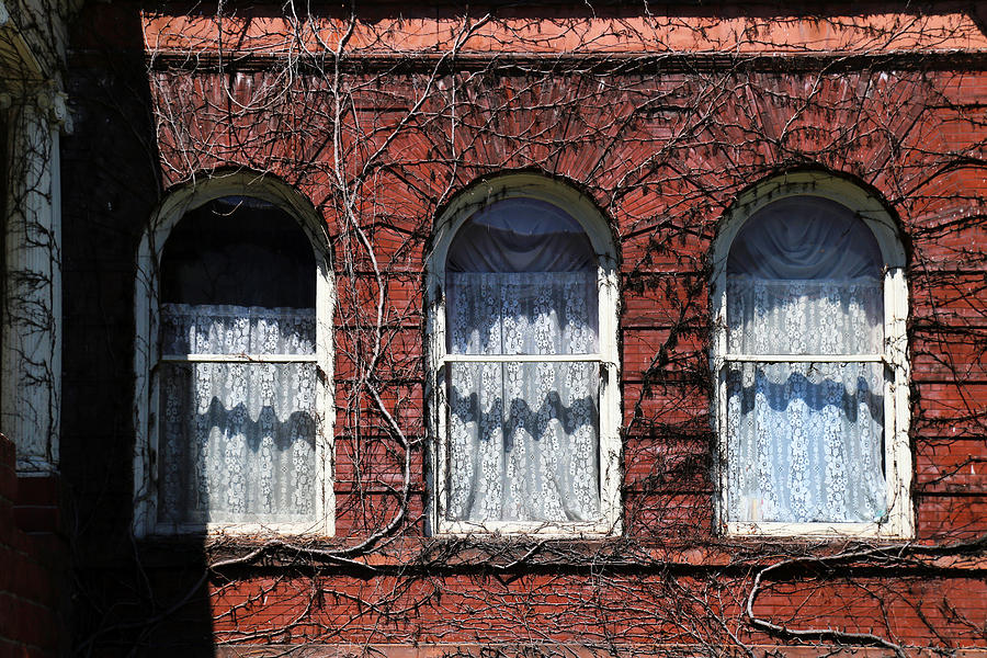 Harrington Inn Windows Photograph by Mary Bedy