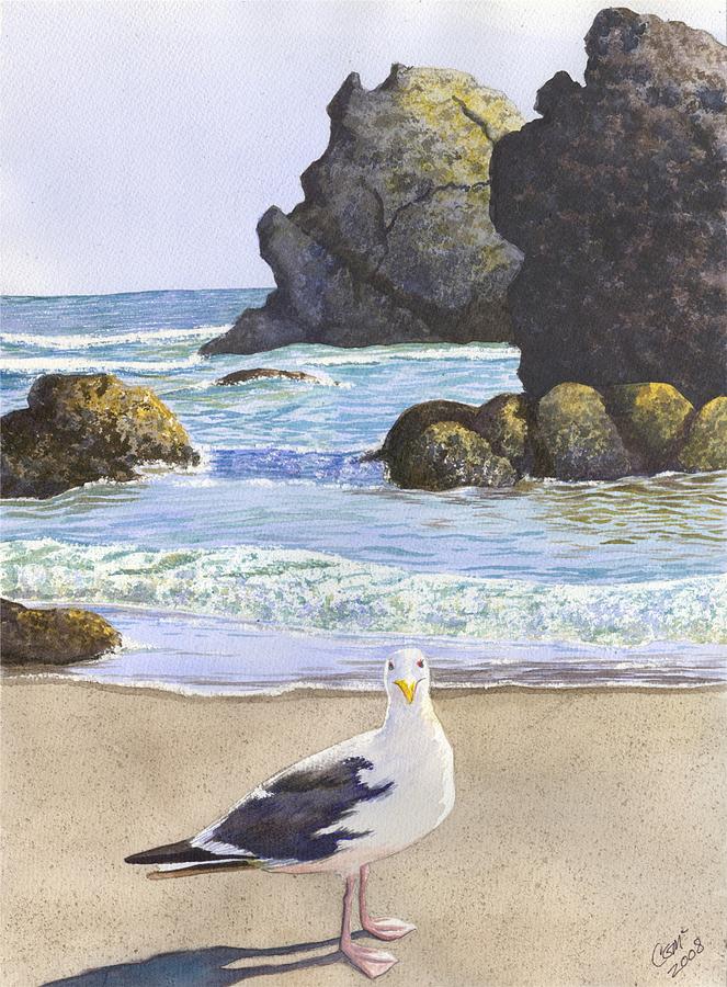 Seagull Painting - Harris Beach by Catherine G McElroy